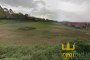 Bebaubare Grundstücke in Montemarciano (AN) - LOTTO 1 3