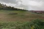 Terreni edificabili a Montemarciano (AN) - LOTTO 2 3