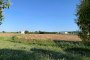 Orgiano ve Asigliano Veneto'da İnşaat Yapılabilir Arazi (VI) 5