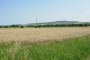 Agrarisch land in Castelfidardo (AN) - LOT 18 2
