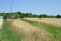 Agrarisch land in Castelfidardo (AN) - LOT 18 3