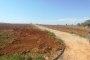 Γεωργικά τεμάχια γης στη Νίσεμι (CL) - ΤΕΜΑΧΙΟ 3 3