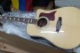 Tanglewood Electrified Acoustic Guitar 2