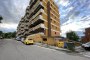 Ambientet tregtarë dhe depo në Folignano (AP) - LOTI 11 1