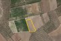 Landwirtschaftliches Grundstück in Cerignola (FG) - ANTEIL 1/2 1