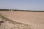 Landwirtschaftliches Grundstück in Cerignola (FG) - ANTEIL 1/2 4