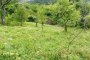 Landwirtschaftliche Flächen in Grigno (TN) - LOTTO 3 5
