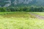 Landwirtschaftliches Grundstück in Grigno (TN) - LOTTO 6 3