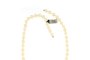 Cultured Pearls Necklace 1