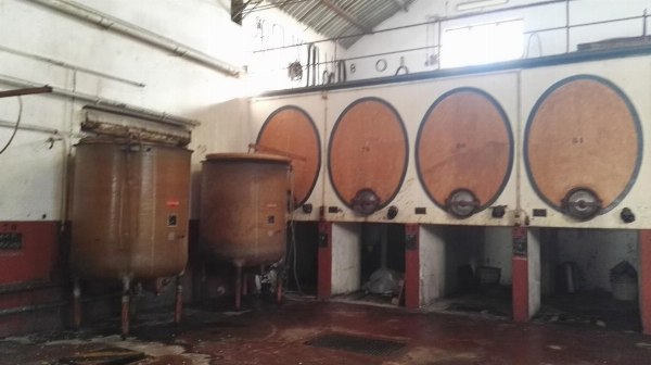 Wijnmakerij - Machines en Apparatuur - Faillissement 37/2020 - Rechtbank van Foggia - Verkoop 5