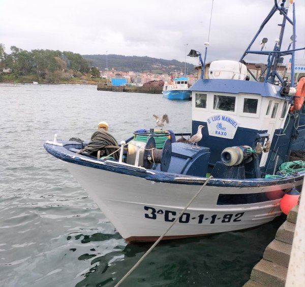 Imbarcazione Buque Segundo Luis Manuel - Trb. n° 1 di Pontevedra - Vendita 2