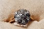 Prsten od 18-karatnog žutog zlata - Dijamanti 0,10 ct - Dijamanti 0,19 ct - Ružičasti kamen 1