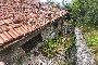 Woning met grond in Pieve Santo Stefano (AR) - LOT B 5