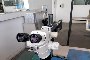 Microscopio Leica Mz12.5 1
