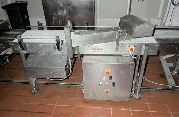 Sacrifici de pollastre - Instal·lacions i maquinària - Conc. Ple amb Continuïtat Empresarial n. 31/2019 - Tribunal de Padova - V