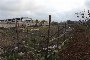 Terrenys edificables a Putignano (BA) - LOT 4 4