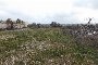 Putignano'da İnşaat Yapılabilir Arazi - LOT 4 6