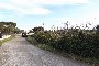 Terenuri agricole în Putignano (BA) - LOT 16 2