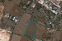 Terrenos agrícolas em Putignano (BA) - LOTE 18- QUOTA 50% 1