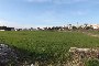 Terrains agricoles à Putignano (BA) - LOT 18- PART 50% 2