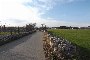 Toka bujqësore në Putignano (BA) - LOTI 18- PËRQINDJE 50% 4