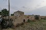 Building land and rural buildings in Lucera (FG) - LOT 3 5