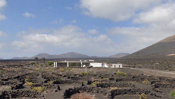 Immobili a Santa Cruz de Tenerife e Las Palmas de Gran Canaria - Spagna - Trib. N.17 di Madrid