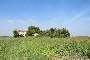Teren agricol și porțiune de clădire ruinată în Castagnaro (VR) - LOT B6 2