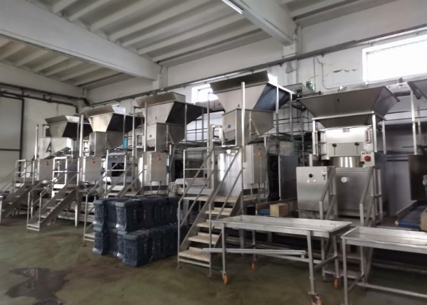 Meyve ve Sebze İşleme - Makine ve Ekipmanlar - Batık no. 11/2021 - Foggia Mahkemesi - Satış 2