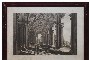 Engraving Portico of the Villa Albani Palace, Castelbarco - Floral Decorations on Paper 1