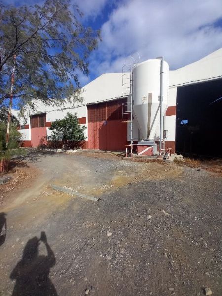 Buildings and poultry machinery in Telde - Commercial Court No. 2 Palmas de Gran Canaria