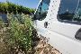 FIAT Ducato Maxi Truck 5